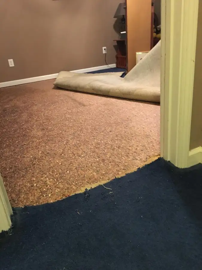 Carpet pad removal revealing water damage during Water Mitigation Services in Bensley
