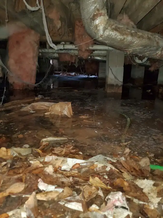Crawl space flood assessment for Leak Detection & Repair in Bensley