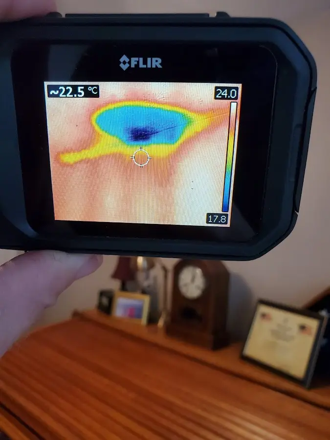 Thermal imaging inspection for water damage in Bensley
