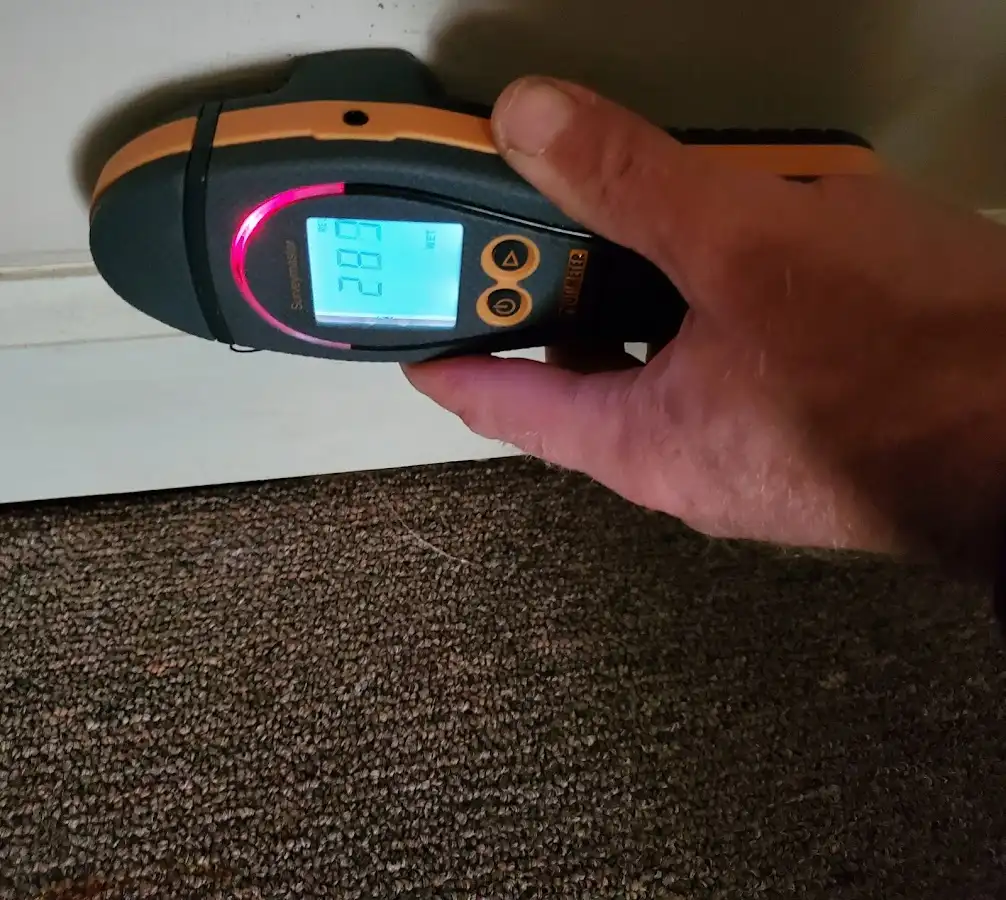 Moisture detection at baseboard during Burst Pipe Cleanup in Bensley
